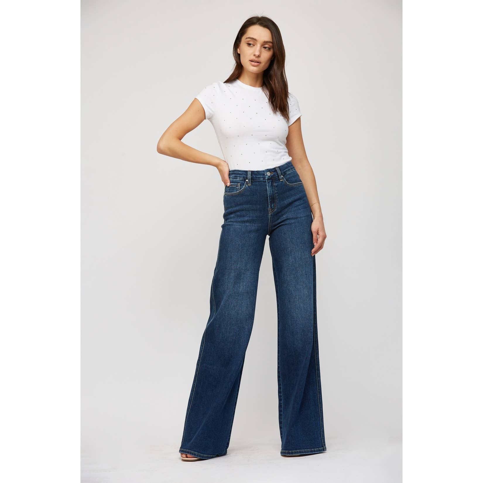 High Rise Dark Denim Wide Leg Skater Jean